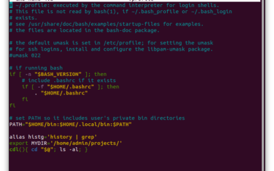 Lancer un fichier Profile au démarrage de Linux