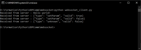 WebSockets server-client communication with Python • AranaCorp