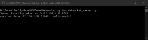 WebSockets server-client communication with Python • AranaCorp