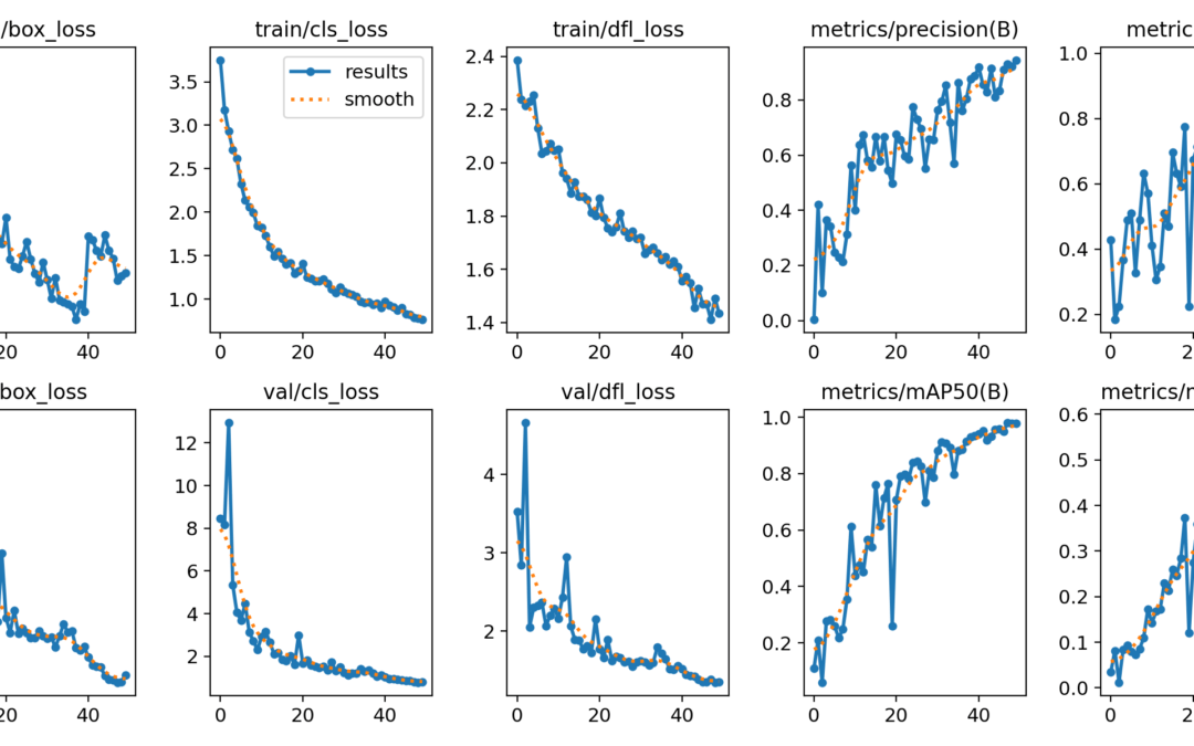 Training a Yolo model